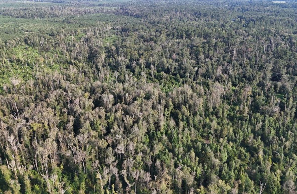 dji_fly_20250903_215812_0014_1756926960573_photo