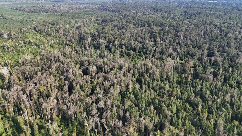 dji_fly_20250903_215812_0014_1756926960573_photo