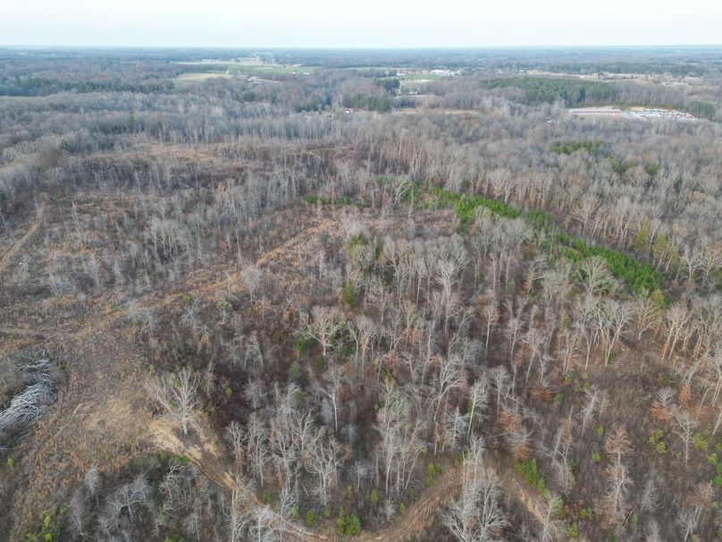 dji_fly_20231130_052354_263_1701905205013_photo