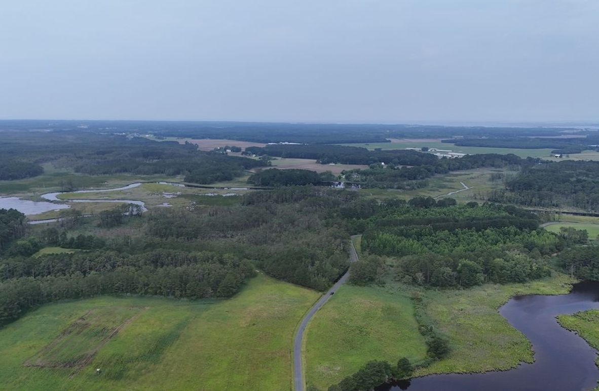 D_IMG25_120AC_dji_fly_20250613_102226_0002_1749852329083_photo