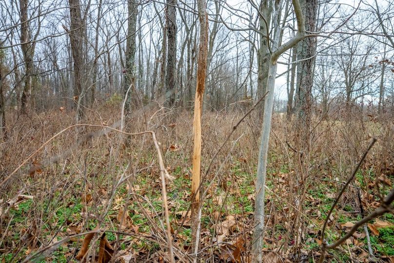 Copy of DSC00730 Large