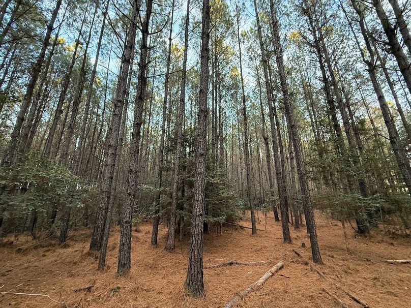 D7D95DDD-23D3-4E90-A8B9-184B5F11D715