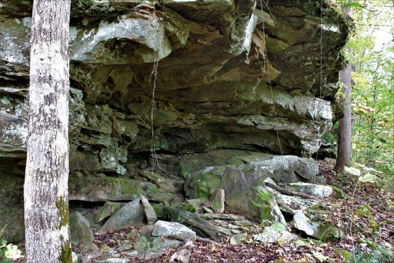 005 cool rock features scattered about the property