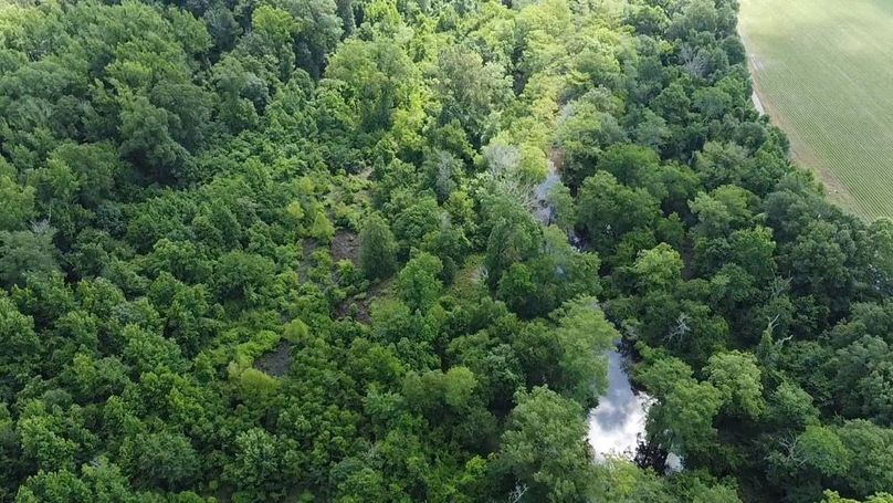 2024-06-01-10-42-14-510