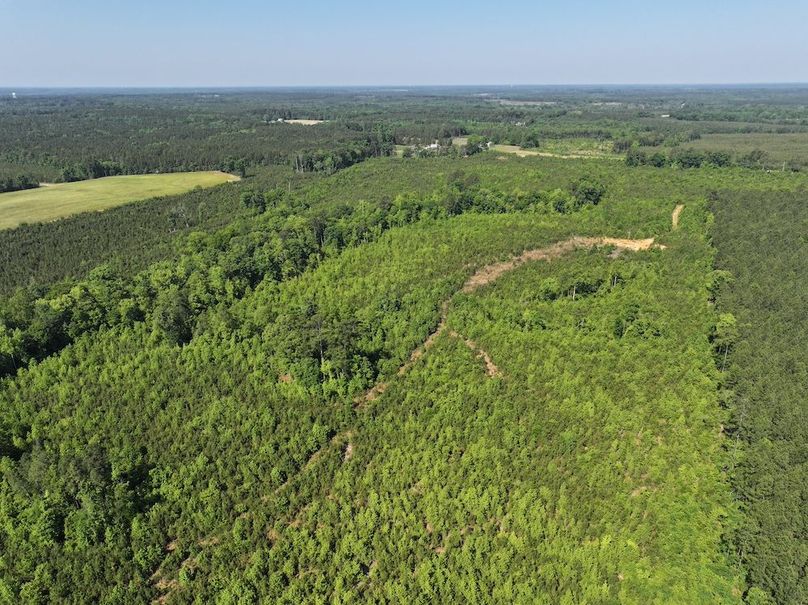 DJI_20260518101048_0927_D