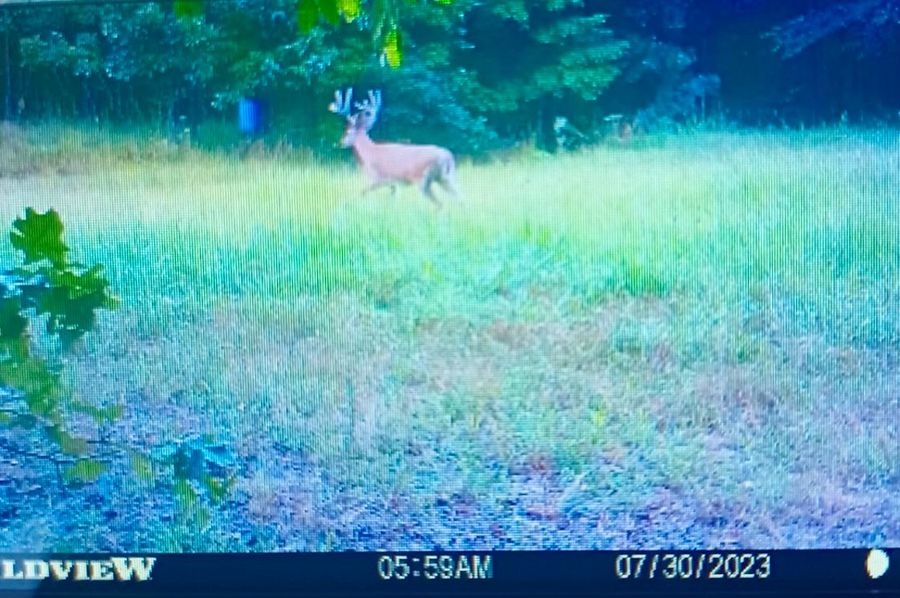 Humphreys Co TN 230.97 Gaspar_New Pics 2