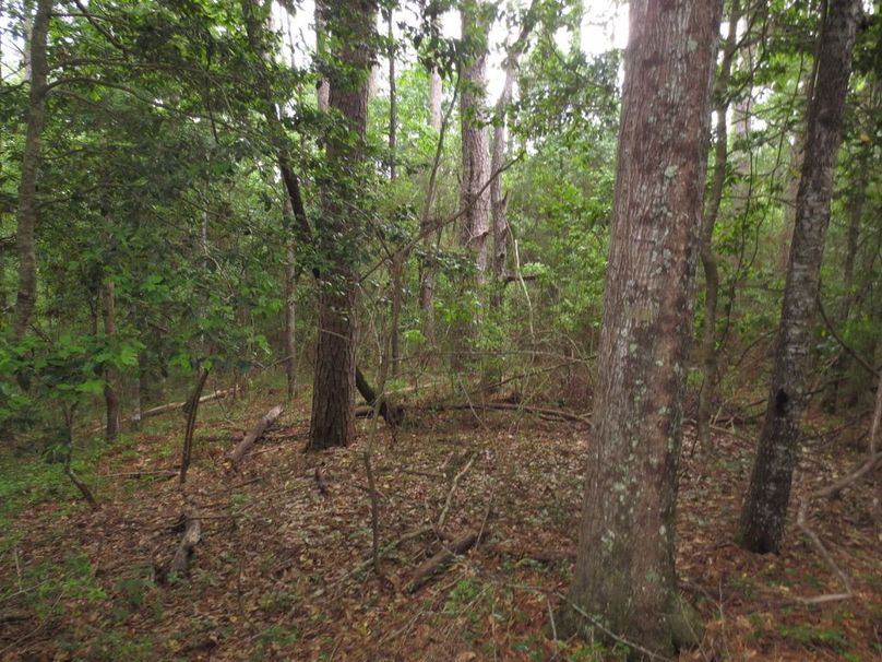 35173CF1-0B01-4C98-ADC3-3AA6F4DC6FC0_1_105_c