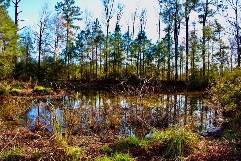 5196C6AC-1D68-4A48-BFA1-18D093A4FDC0_1_201_a-2