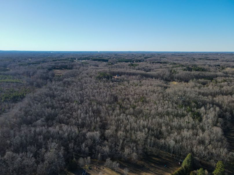 dji_fly_20240129_091700_755_1706537840365_photo