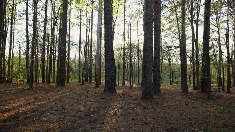 WILLIAMSON, IL 65.00_01_59_02.Still016