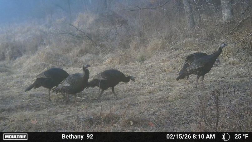 1520709-20260215161456-100MFCAM_MFDC3085