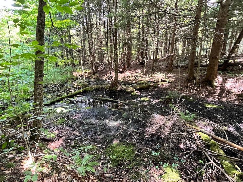 Oswego_133.72_Middleton_Photos_56