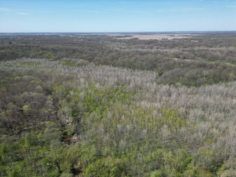 DJI_0227
