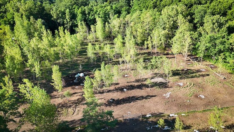 Ontario_19.1_Schmucker_Photos_42