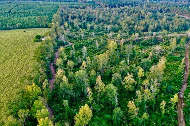 D8664048-F44B-4EC8-B39C-06DC8996DC3F_1_105_c