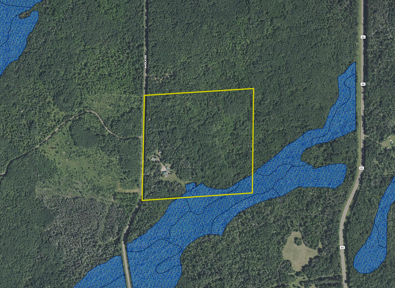 3512 Ahola Rd. wetland layer