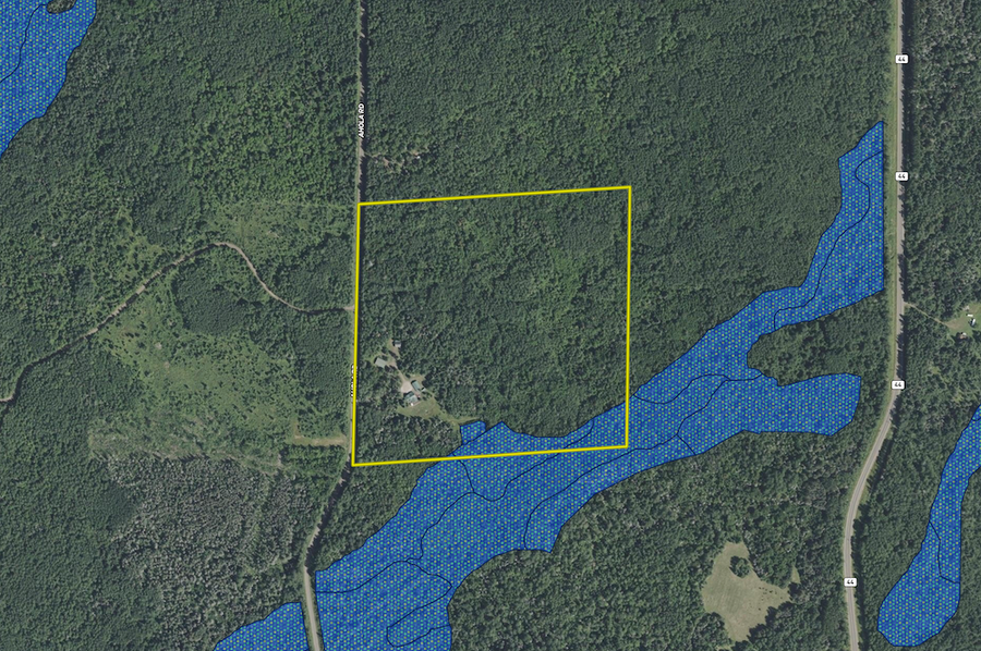 3512 Ahola Rd. wetland layer