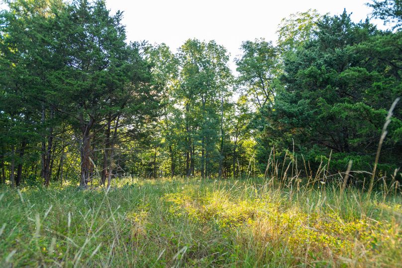 Webster MO 106 Featured_Pro Photo-24