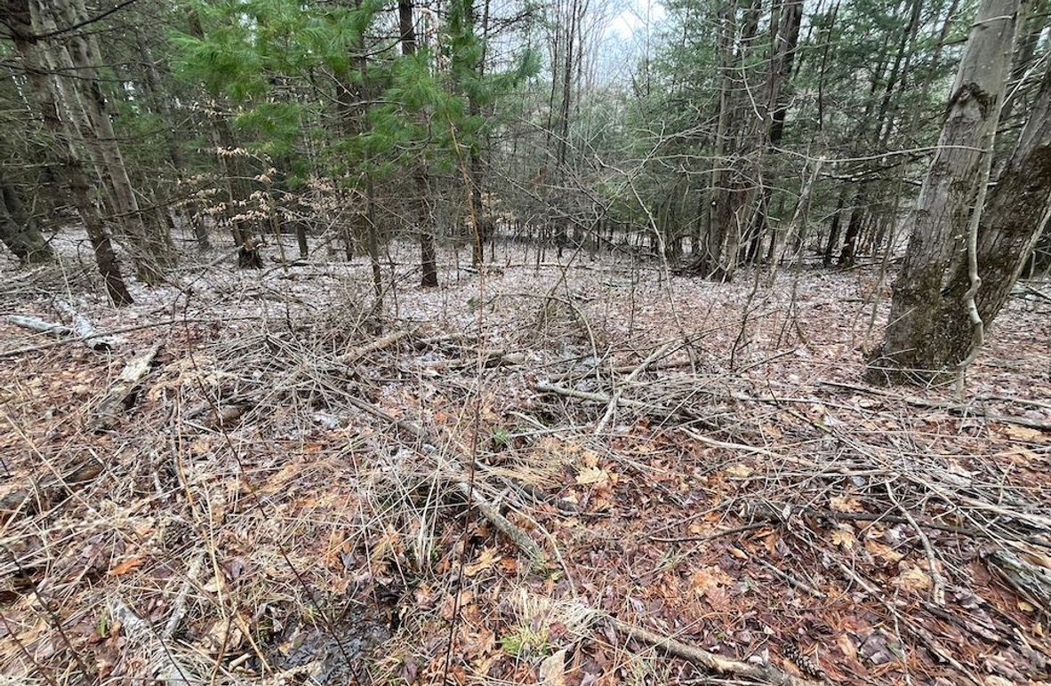 Chemung_17.45_Delsey Photo 5