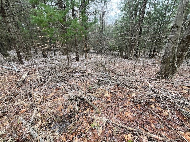 Chemung_17.45_Delsey Photo 5