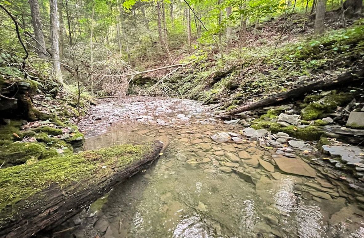 Tioga_59.597_Barnes_Photos_4
