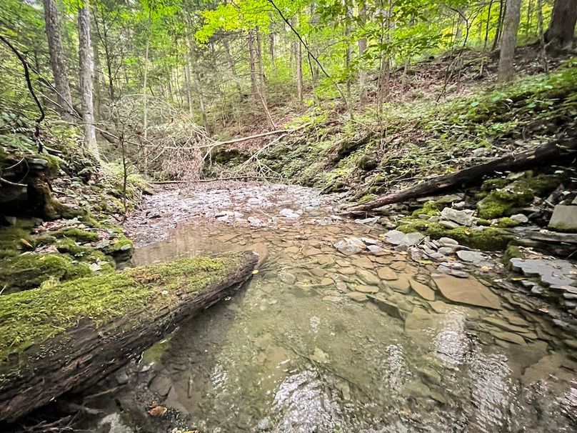 Tioga_59.597_Barnes_Photos_4
