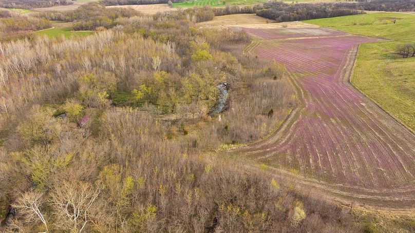 DJI_20250331091550_0659_D