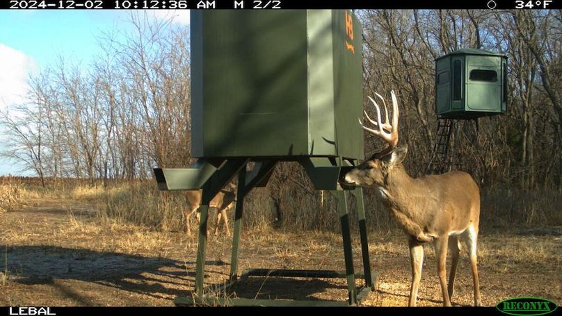 Copy of 9b97435d90a2e839895da267133f3eb5-large