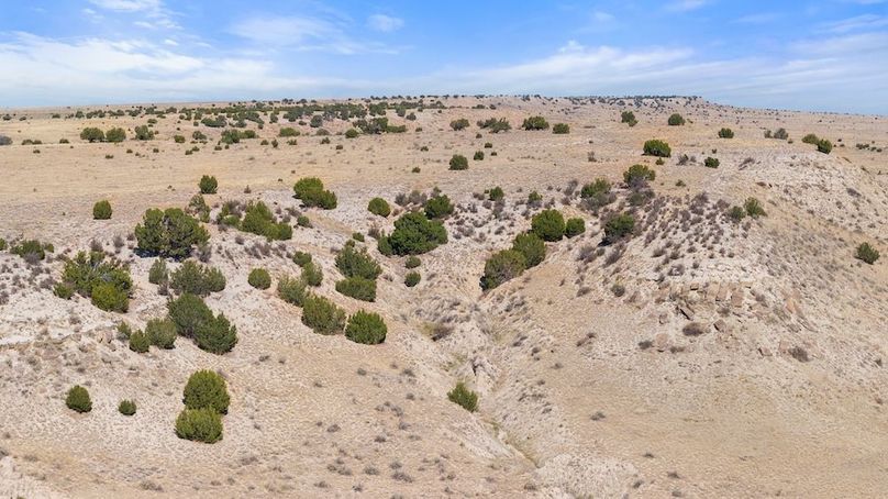 DJI_20251015124038_0133_D