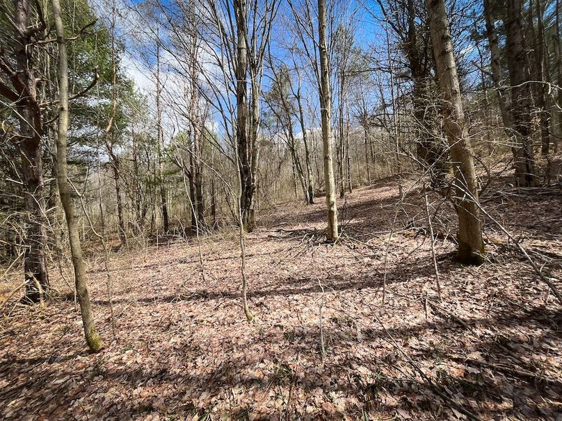 Tioga__NY_109.7_Burris_Photos_62