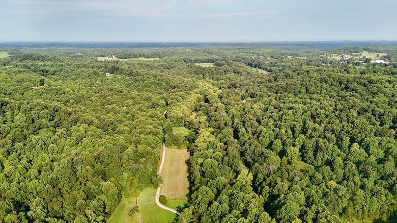 dji_fly_20250819_093704_0589_1755617539922_photo