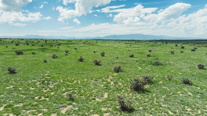 DJI_20240520161426_0153_D