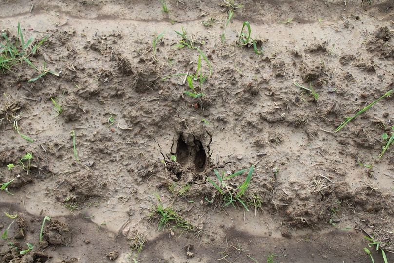 4E22D207-0CBF-471E-9B1B-59E05F7B29A0_1_105_c