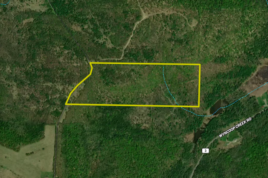 Chemung_59.085_Gutchess_Lumber_Landid_4