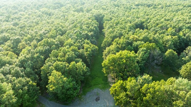 Franklin 59.85_035-2