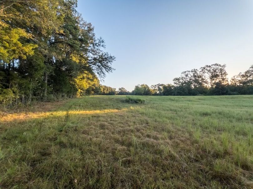 Hinds Co - 78 - Newman-27