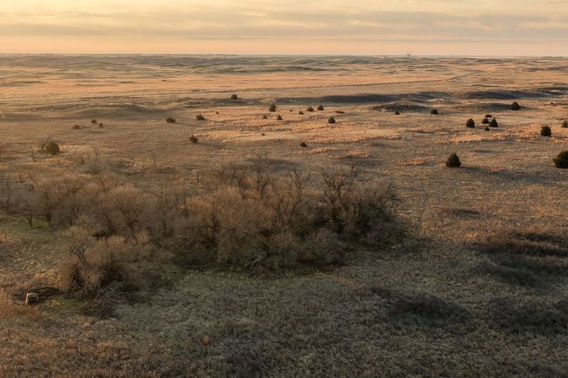 DJI_20260311082022_0526_D