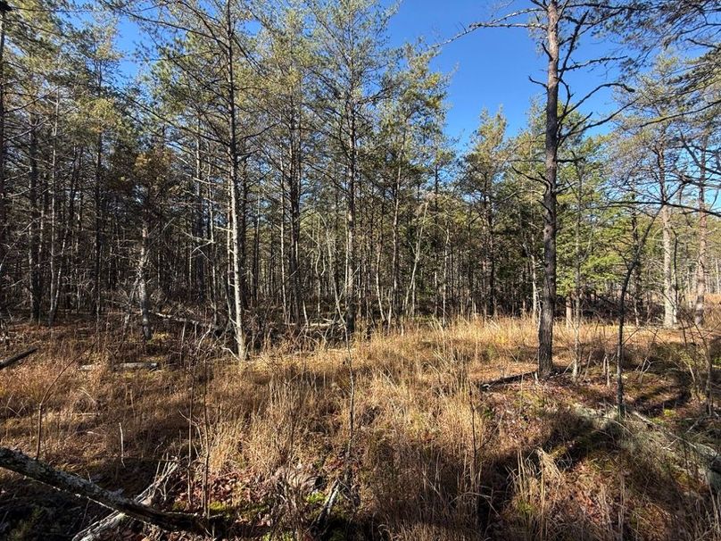 007 some of the open flat land in the north section of the property