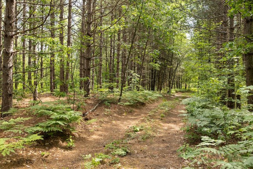 11 Trail leading into north 200 north of 13 Mile Rd