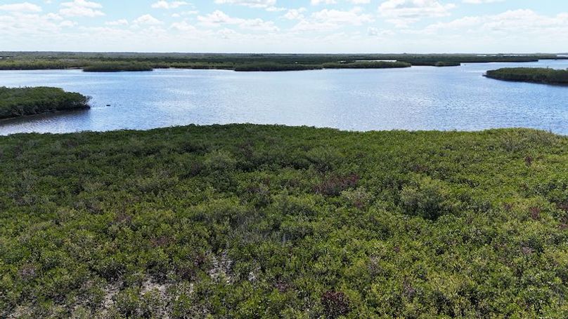 17.17ac, Citrus, Josiah Ronco15