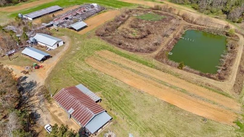 1large-018e903b-4c45-7105-b59d-b8a45922dd9e