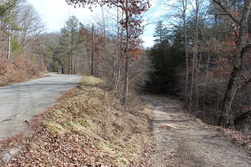 005 entrance road leading off of Lacy Creek Road