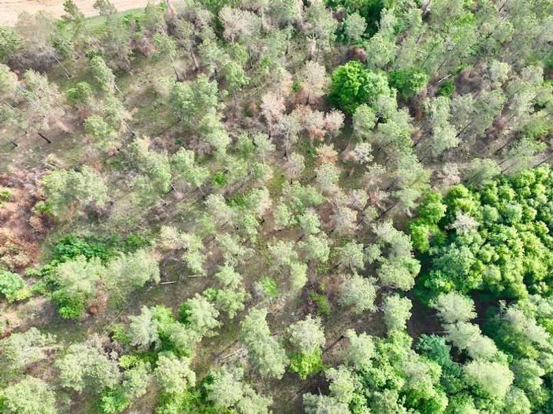 dji_fly_20260427_095020_599_1777299979307_photo
