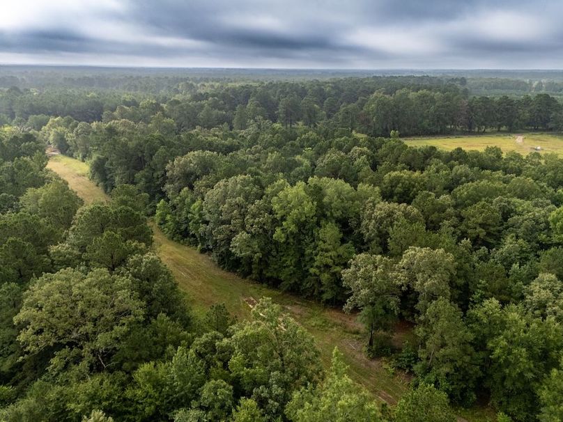 30 Panola Co. 40ac - Rouse-48