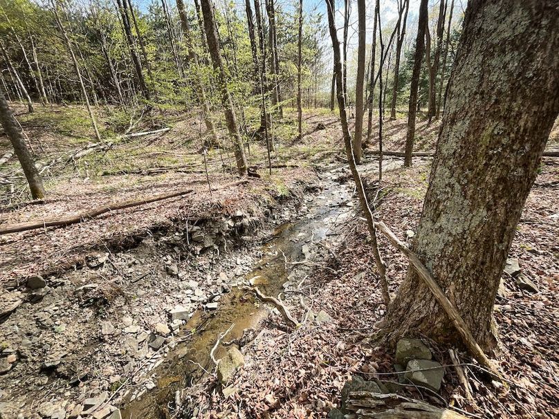 Tioga_76.65_Matyjas_Photos_7