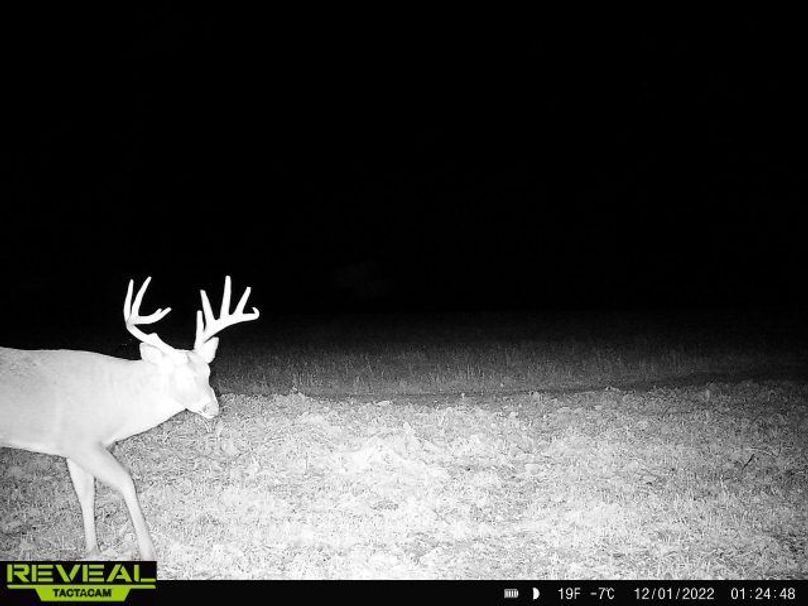 865814048775314-100-4-12012022012448-W1000142