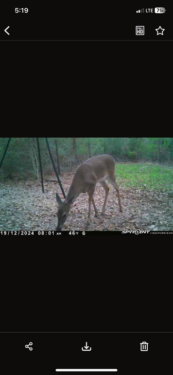 Trail Pic 11