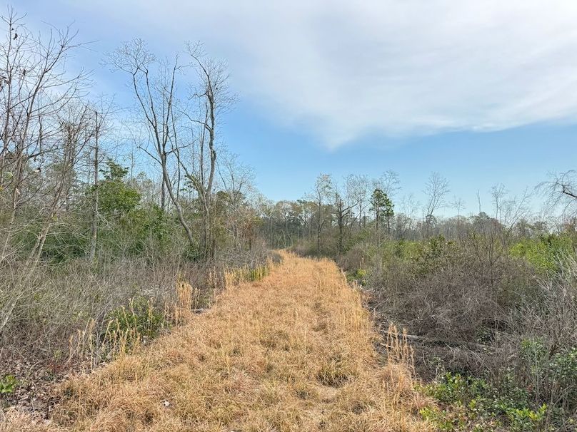 252550D5-05FE-4B14-9396-F1A0E03EFD91