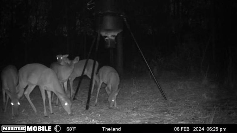 image638476365873934043