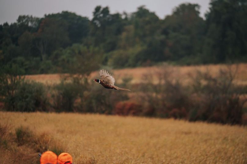 Orvis Listing Photos45